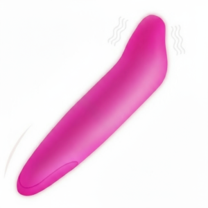 Mini Dolphin G-Spot Vibrator